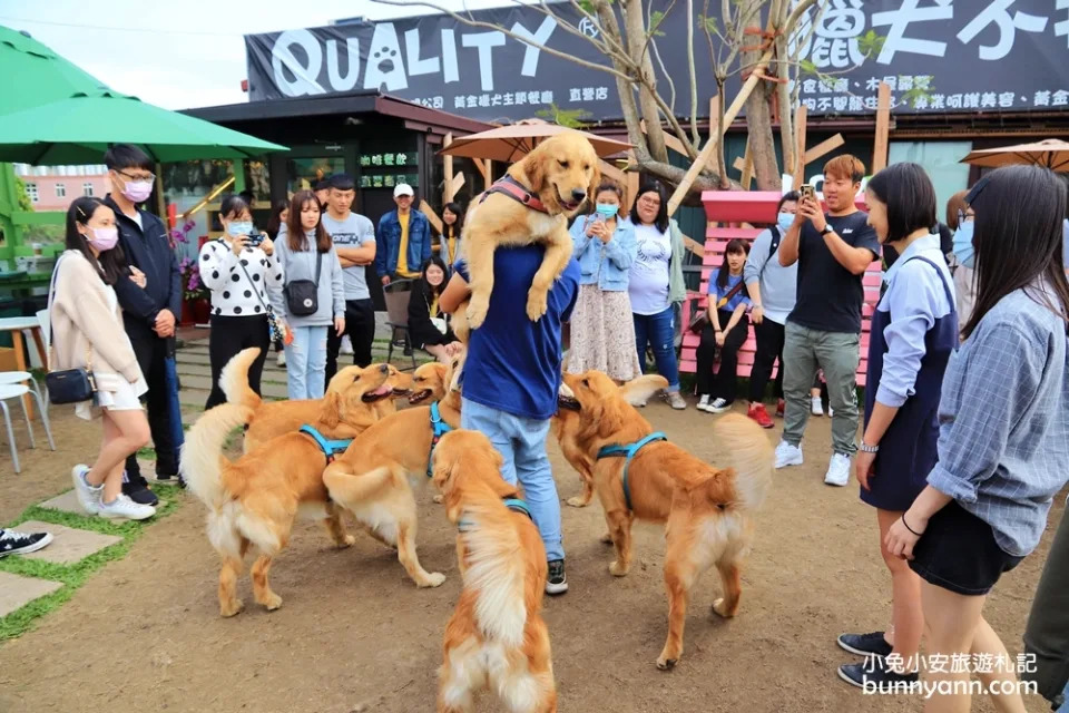 台中景點｜獵犬不打獵寵物餐廳