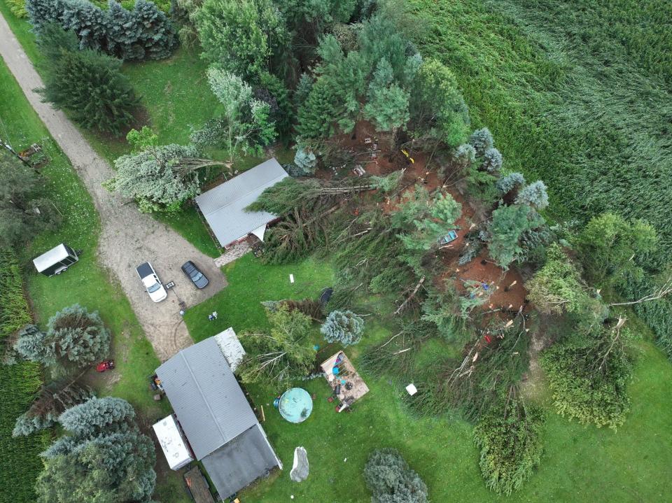 Drone footage shows trees downed Thursday, Aug. 24, on the Lang family property on Judd Road in Fowlerville.