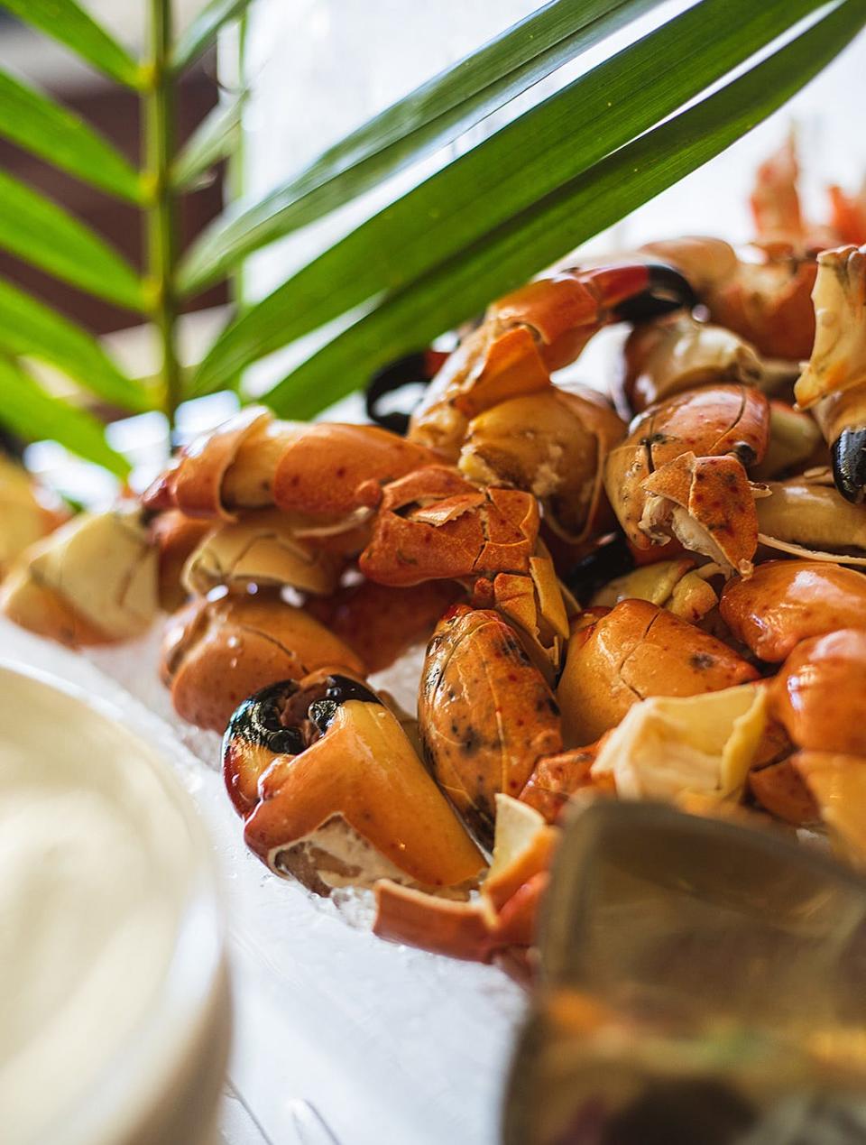 Stone crab claws are part of the raw-bar fare that will be offered at Florie's.