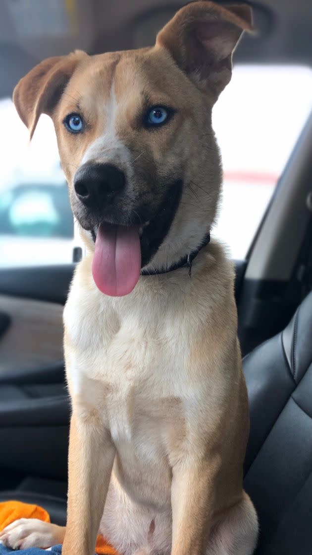 Hank being a handsome devil. (Photo: Christine Clauder)