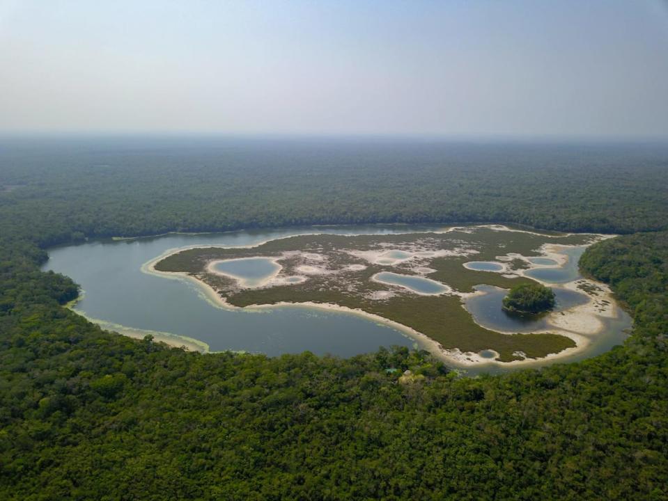 <div class="inline-image__caption"><p>Puerto Arturo is a pristine wetland, home to a variety of wild species like the jaguar, hundreds of different bird species, crocodiles, reptiles, and many more. The locals offer a safari-like experience where tourists can come in contact with these animals.</p></div> <div class="inline-image__credit">Isabella Rolz, Jorge Rodriguez</div>