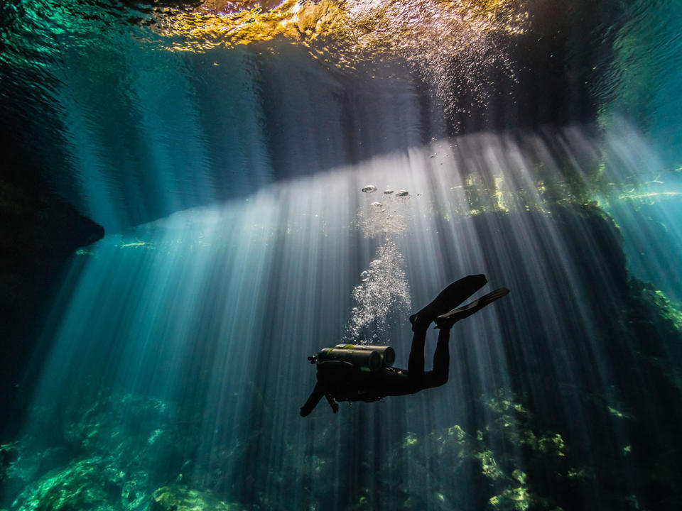 Beam me up! Beeindruckende Unterwasseraufnahmen