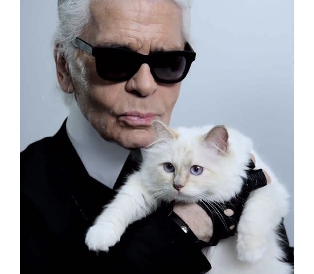 Karl Lagerfeld's cat Choupette made $3 million.