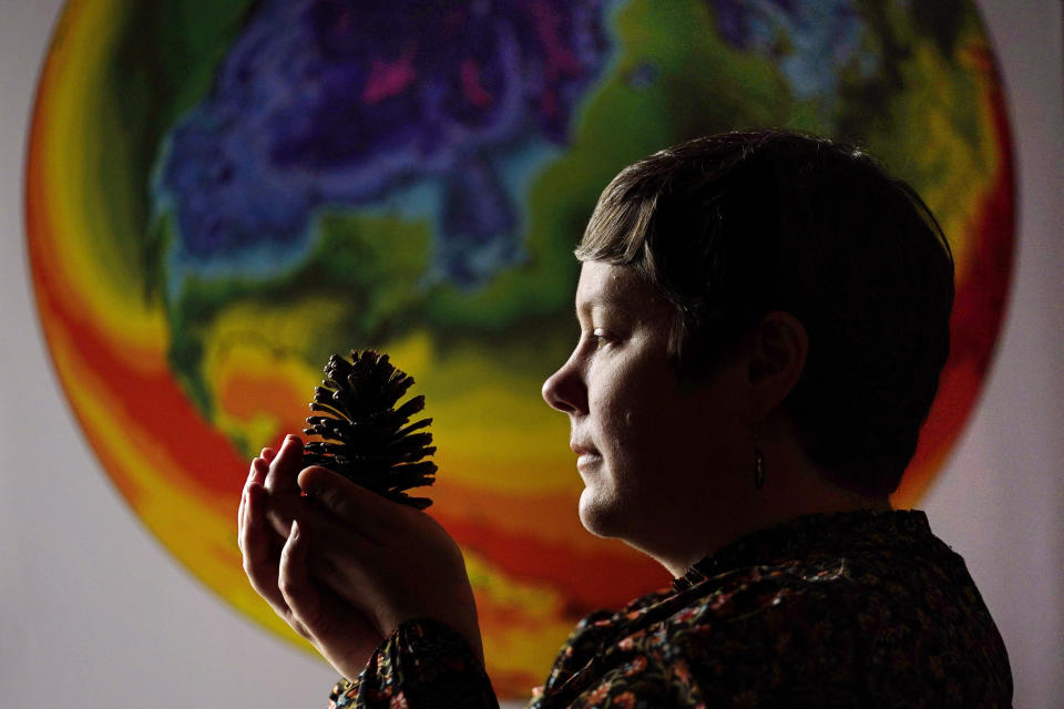 University of Maine climate scientist Jacquelyn Gill examines a cone from a western pine at the Sawyer Environmental Research Center, Wednesday, May 4, 2022, in Orono, Maine. Gill says her work as a paleo-ecologist and climatologist has given her hope for the Earth's resilience despite global warming. Climate scientists who have been through a lot both personally and professionally say the key is often action. (AP Photo/Robert F. Bukaty)
