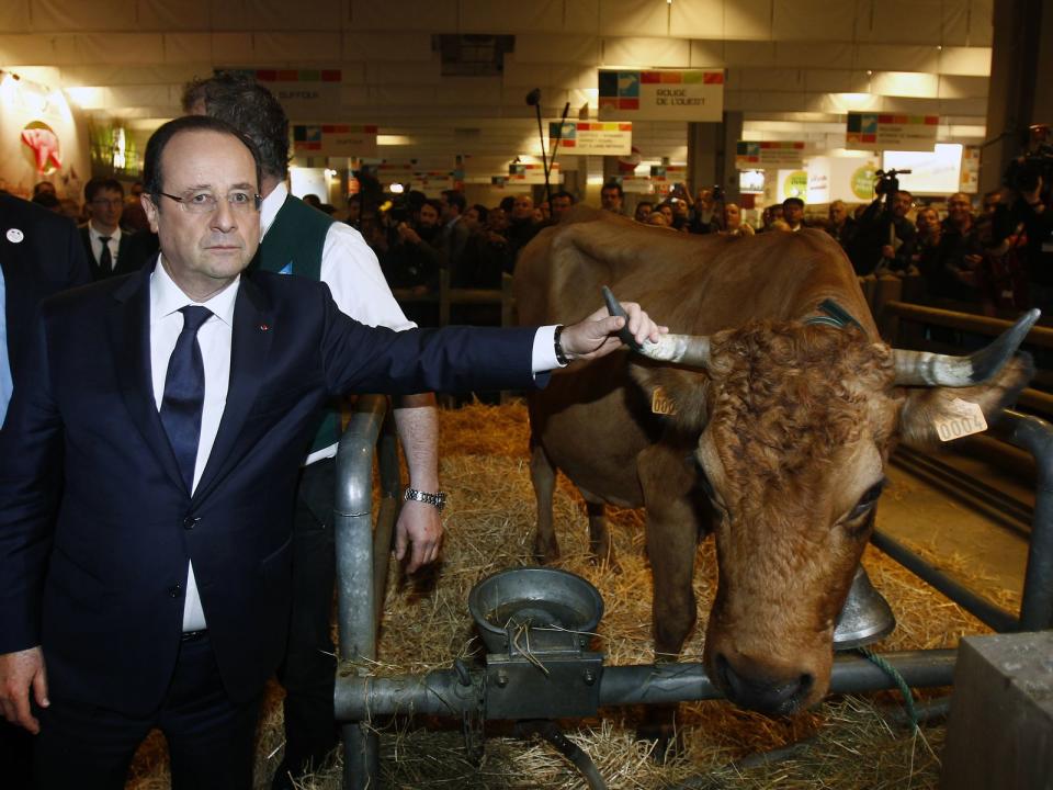 Dieses Foto sieht allerdings eher nach Wahlkampfpflichttermin als nach Tierliebe aus: Der ehemalige französische Präsident Francois Hollande haben den Stier oder besser gesagt die Kuh bei den Hörnern gepackt - kämpferischer Blick inklusive. (Bild: Thierry Chesnot/Getty Images)