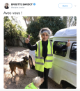 <p>Mercredi, l’icône du cinéma français a publié sur Twitter une photo où elle porte un gilet jaune, les deux pouces levés, à côté de sa Renault 4L blanche garée à l’entrée de La Madrague, sa maison de Saint-Tropez. Un cliché sans équivoque accompagné d’une légende qui l’est tout autant : “Avec vous !”. Les plus observateurs d’entre vous auront noté que chez BB, les animaux aussi sont dotés d’une conscience sociale. </p>