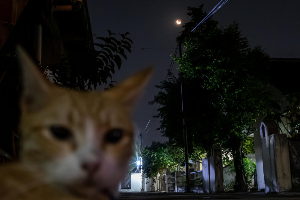 A total lunar eclipse is seen in Jakarta, Indonesia, on May 26, 2021. The total lunar eclipse, also known as a super blood moon occurs when the total lunar eclipse takes place at the same time the moon is in perigee, the closest point to Earth in its orbit. (Photo by Rizqullah Hamiid/NurPhoto via Getty Images)