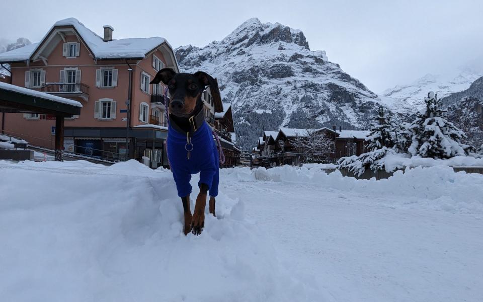 Lottie Gross and her dog in Morzine