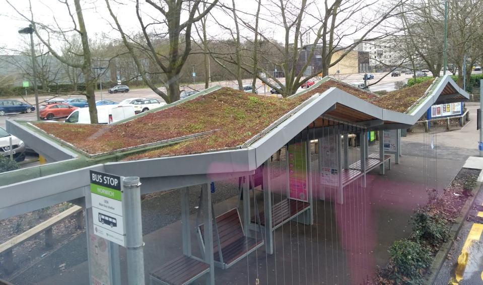 A bus stop with a green roof at the University of East Anglia in Norwich, England.