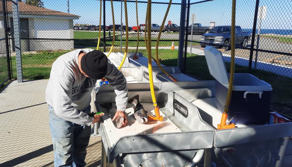 An angler cleans steelhead at the public fish cleaning station at the Walnut Creek Marina in Erie County.