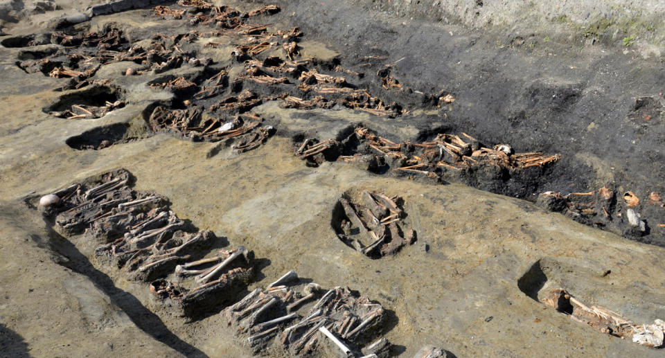 Pictured are bones from more than 1000 people in a mass grave in Japan.