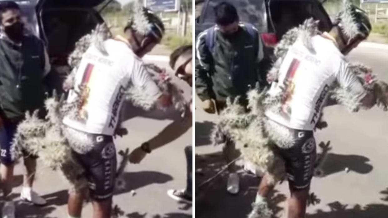 Argentinian cyclist Diego Moreno had to be taken to hospital after hitting a pothole in Buenos Aires which sent him flying into a cactus bush. Pictures: YouTube