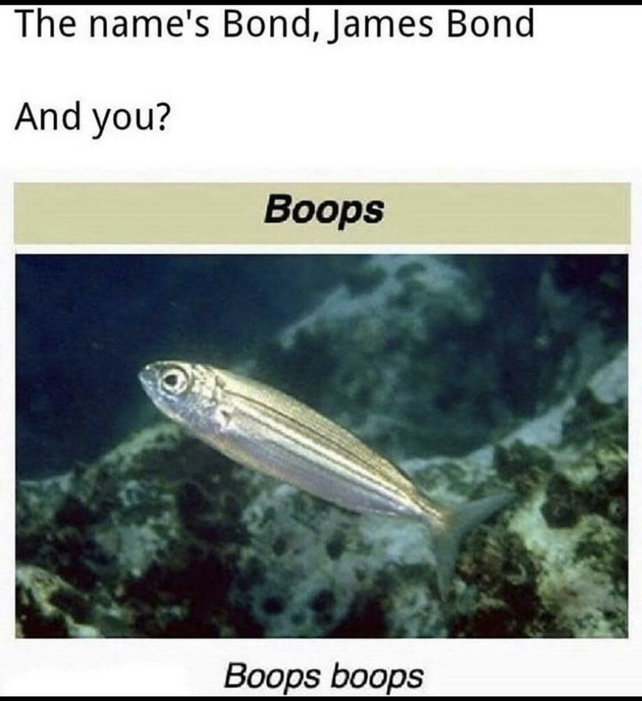 "Boops boops"