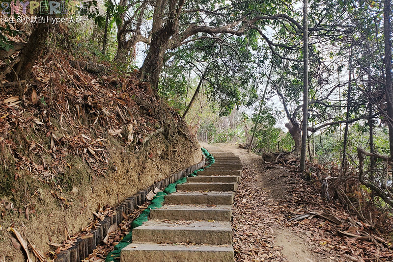 台中大坑六號七號登山步道