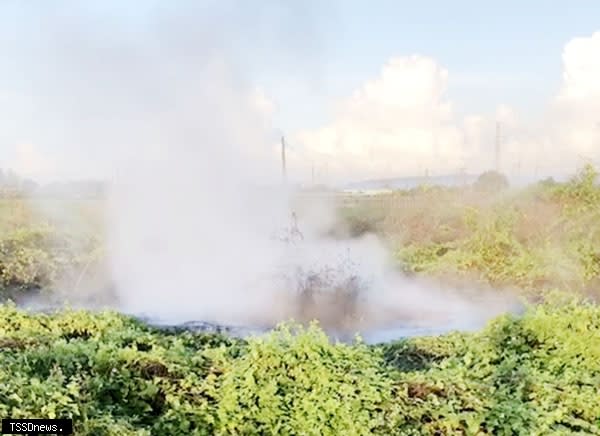 睽違兩年不見，屏東縣萬丹鄉泥火山再噴發。（記者陳真攝）
