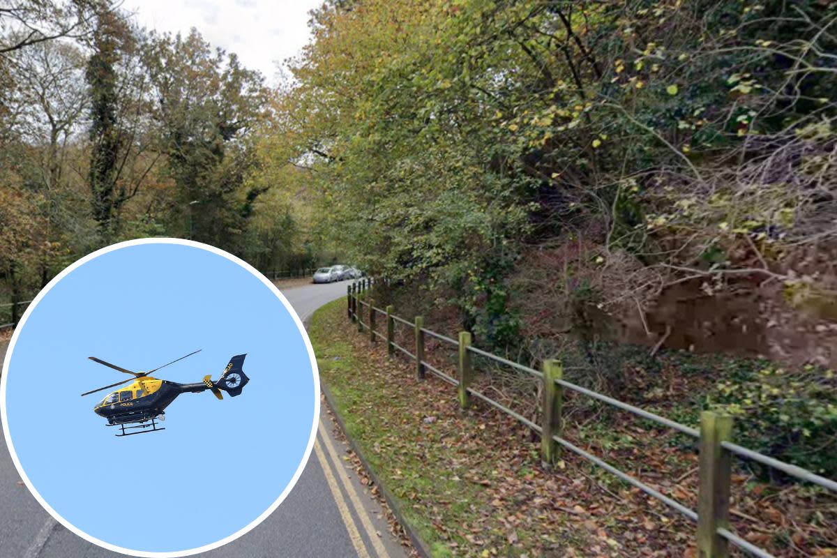 Police helicopter searches for missing girl in Abbey Wood <i>(Image: Google maps/PA)</i>
