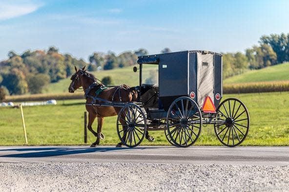 An Amish horse and buggy.