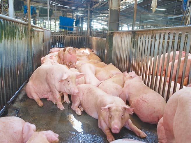 豬肉量少需求大，雲林縣肉品市場每公斤交易價漲至85元，中央調節豬源8月可望回穩。（本報資料照片）