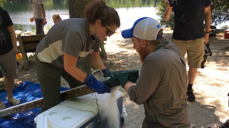 Why scientists suspect proof of a turning point in Earth's history is sitting in a lake in Milton, Ont.