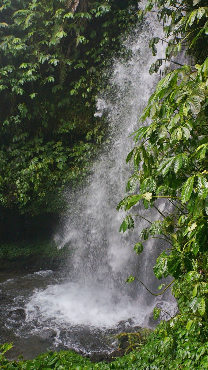 Kliwun Waterfall: According to locals, there used to be a light seen at the Kliwun Waterfall on a kliwon day according to Javanese calendar.