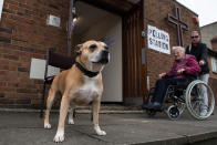 <p>Chanel, a Staffordshire Bull Terrier, is tied up outside a polling station at Tulse Hill Methodist Church as a woman in a wheelchair is escorted away on June 8, 2017 in London, United Kingdom. (Photo: Chris J Ratcliffe/Getty Images) </p>