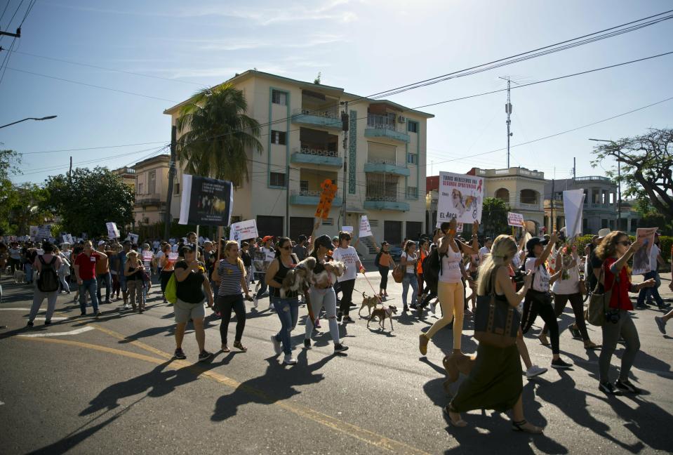 Pet owners march against animal cruelty in Havana, Cuba, Sunday, April 7, 2019. Cuba's socialist government permitted the public march unassociated with any part of the all-encompassing Communist state, a move that some call highly unusual and perhaps unprecedented since the first years of the revolution. (AP Photo/Ramon Espinosa)