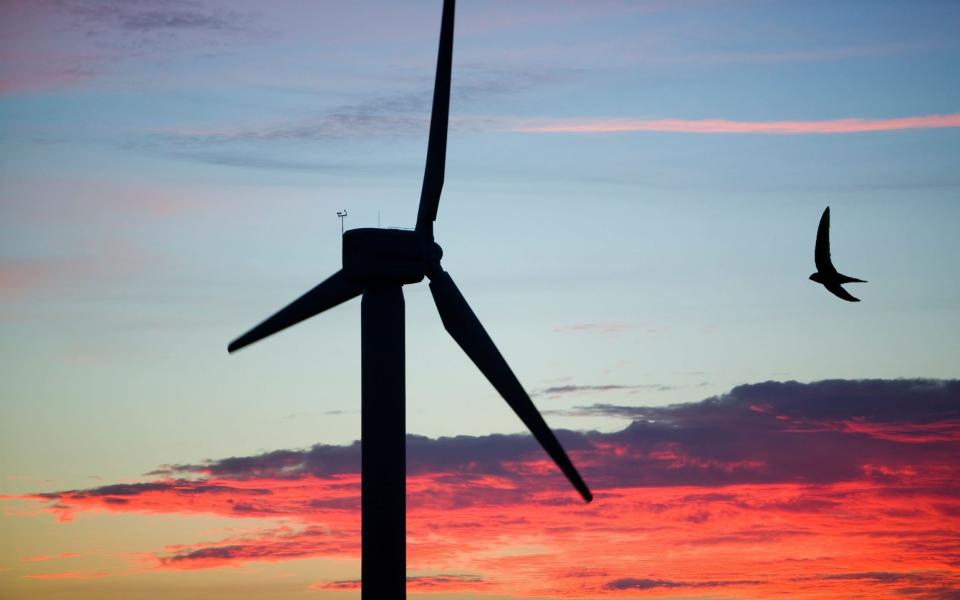 a swift negotiates a wind turbine in Camelford, Cornwall - Alamy