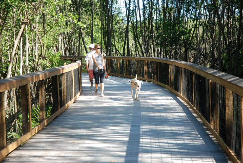 Jone and Warren Miller walk their yellow Lab, Tige, along the new Gordon River Greenway in Naples.