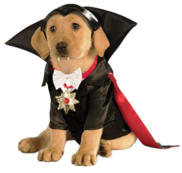 🎃Dog Halloween Costumes - Funny, Large Costumes