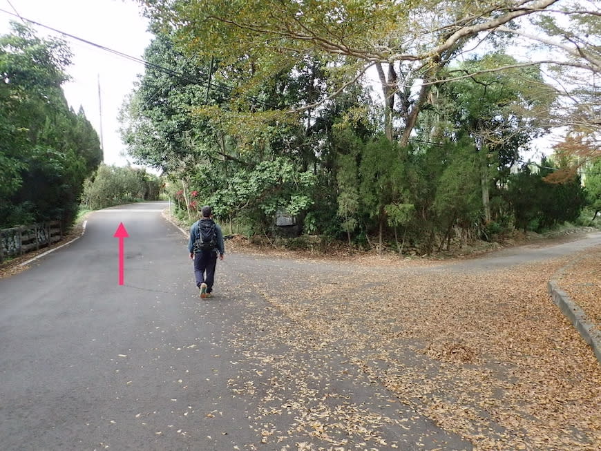 新竹十二寮登山步道