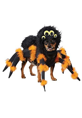 get your paws on these adorable petfriendly halloween costumes