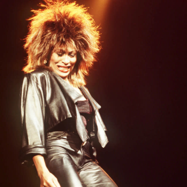 Tina Turner credit:Bang Showbiz