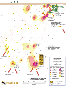 Fenelon Gold, Cayenne Zone Longitudinal Section