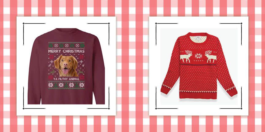 You Can Actually Get Your Dog Put On Your Ugly Christmas Sweater