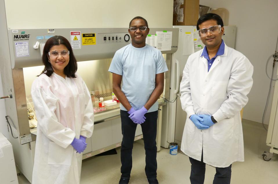 Debjani Pal, from left, Wellington Muchero and Kuntal De have created a platform to study the function of the PAN protein domain whether it is in plants, humans or other organisms, which could lead to advances in drug therapies and hardier bioenergy crops.