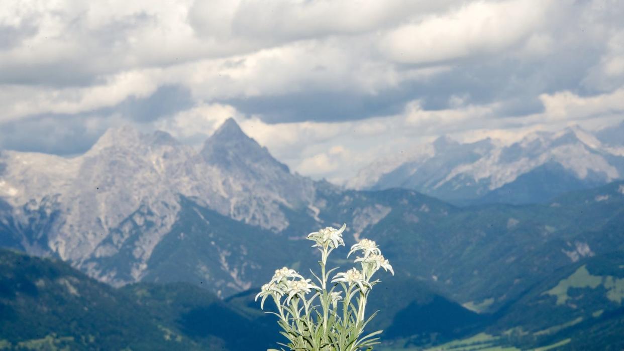 In den Tiroler Alpen ist ein Ehepaar aus Bayern schwer verunglückt - der Mann überlebt nicht. (Archivbild)