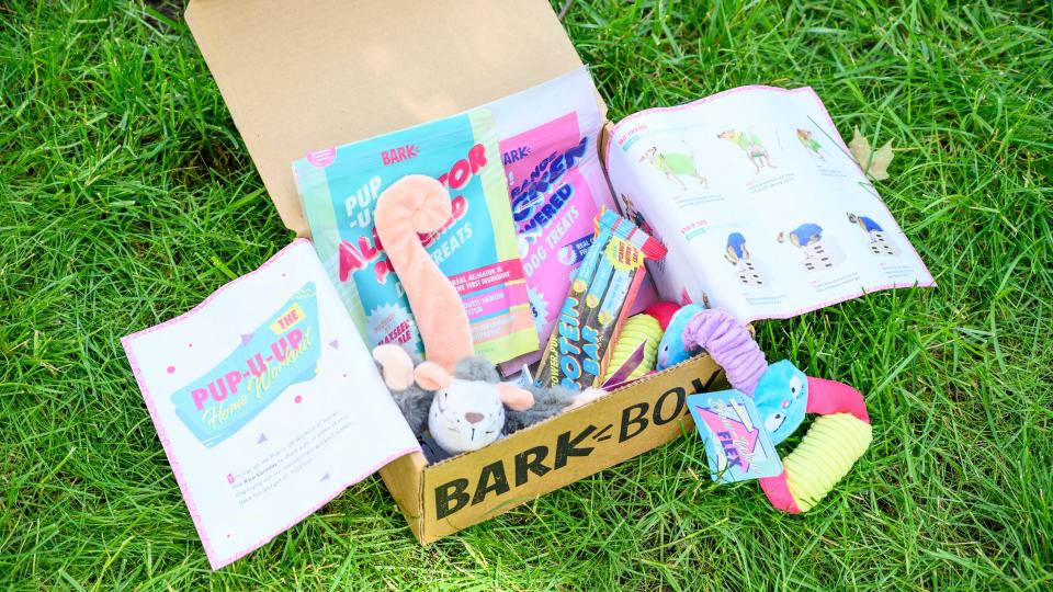 Gifts that give back: BarkBox