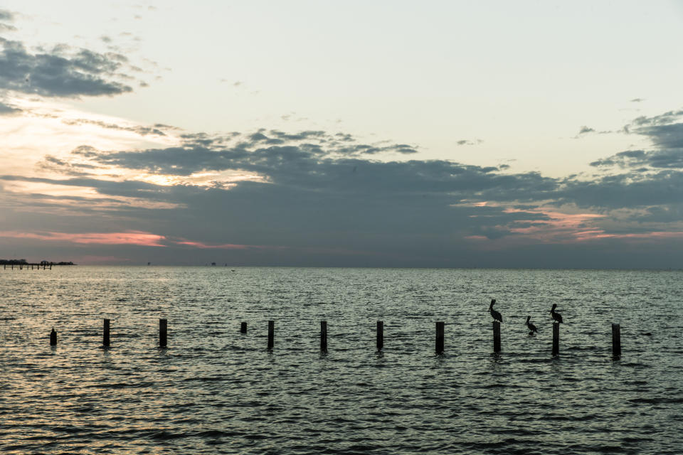 Dauphin Island