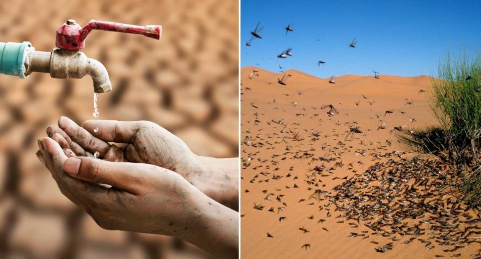 Hands cupped beneath dripping tap during drought and swarm of locusts