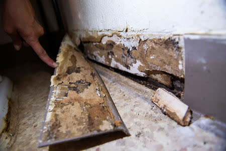 FILE PHOTO: Leanne Bell, 39, displays mold-lined baseboards at the army base housing allocated to her family in Fort Hood, Texas, U.S. May 16, 2019. Bell and her family say they began suffering breathing issues, depression, hair loss, and rashes while living in the home. They contacted housing maintenance repeatedly, submitting between 2 to 3 dozen work orders related to mold, HVAC, and air issue quality concerns over the course of 3 years. REUTERS/Amanda Voisard