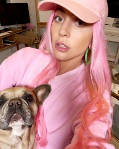 Lady Gaga Is Beside Herself After Dog Walker Shooting Offering 500000 Reward For Return Of Beloved Pets