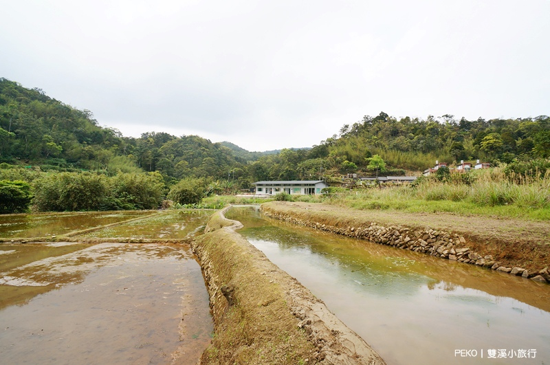 雙溪小旅行.新北一日遊.雙溪螢火蟲.雙溪山水綠境民宿.雙溪火車站.新北小旅行.壽山宮農夫市集.良心菜攤.