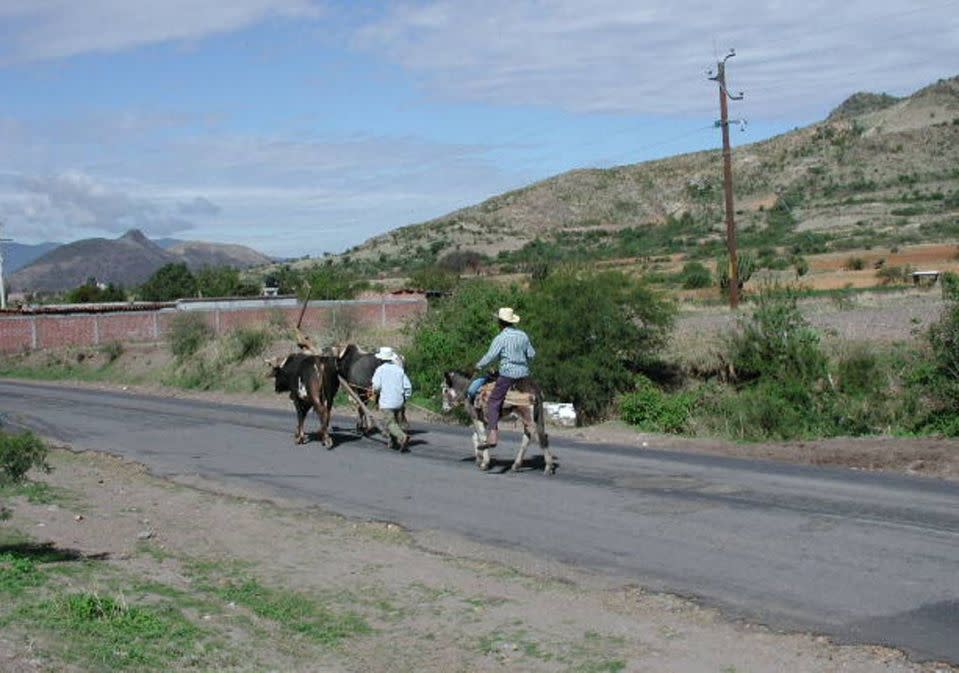 Agricultores zapotecas regresando de su “milpa”, los huertos que proporcionan gran parte de los alimentos a las comunidades en Oaxaca, México. Jeffrey H. Cohen, CC BY-SA