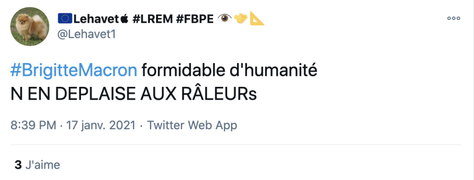 Pour sa toute première interview, accordée au JT de 20h de TF1, Brigitte Macron a séduit les internautes.