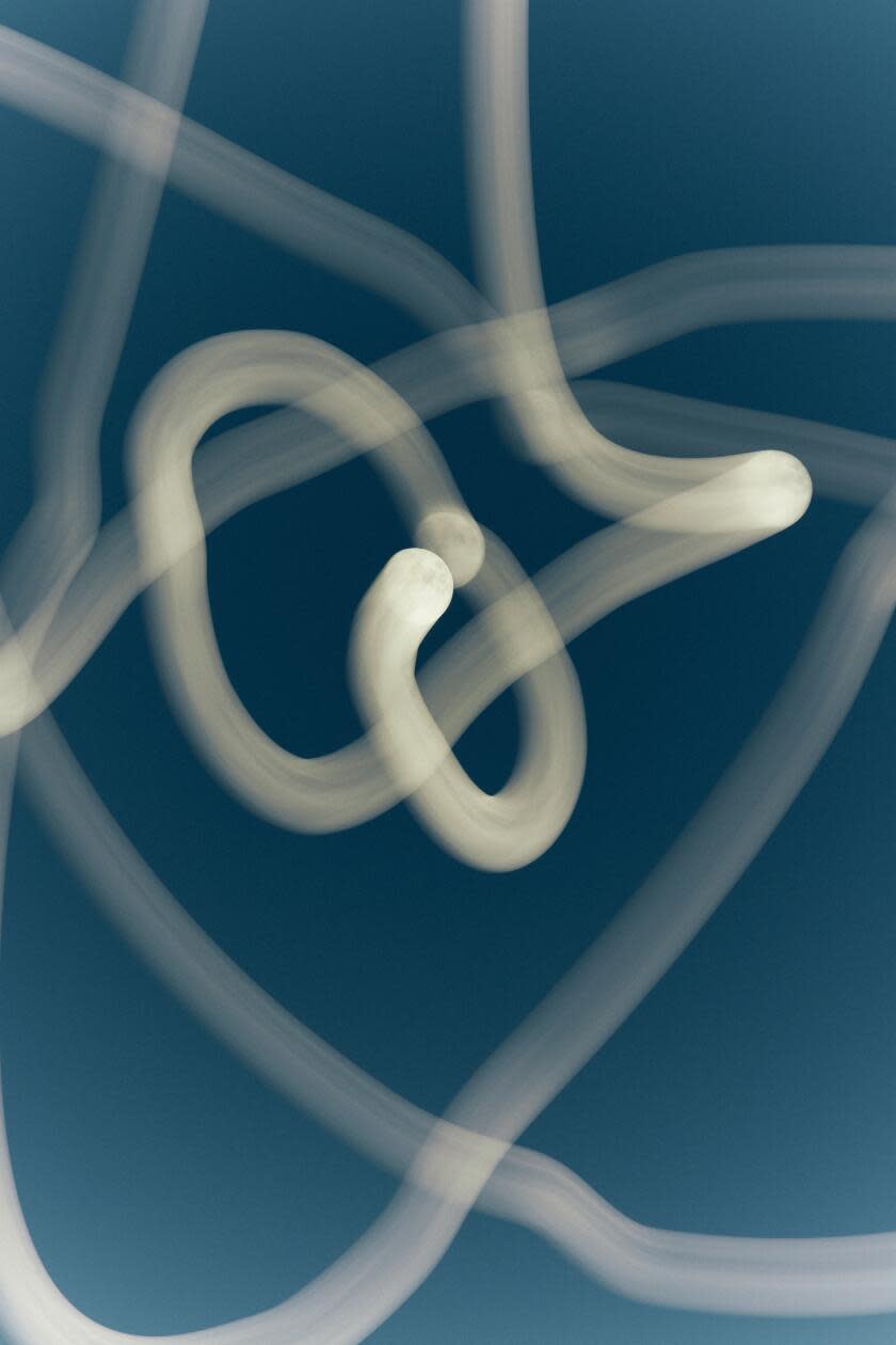 A white squiggly line moves in the sky. It's the moon as seen through a long-exposure photograph.