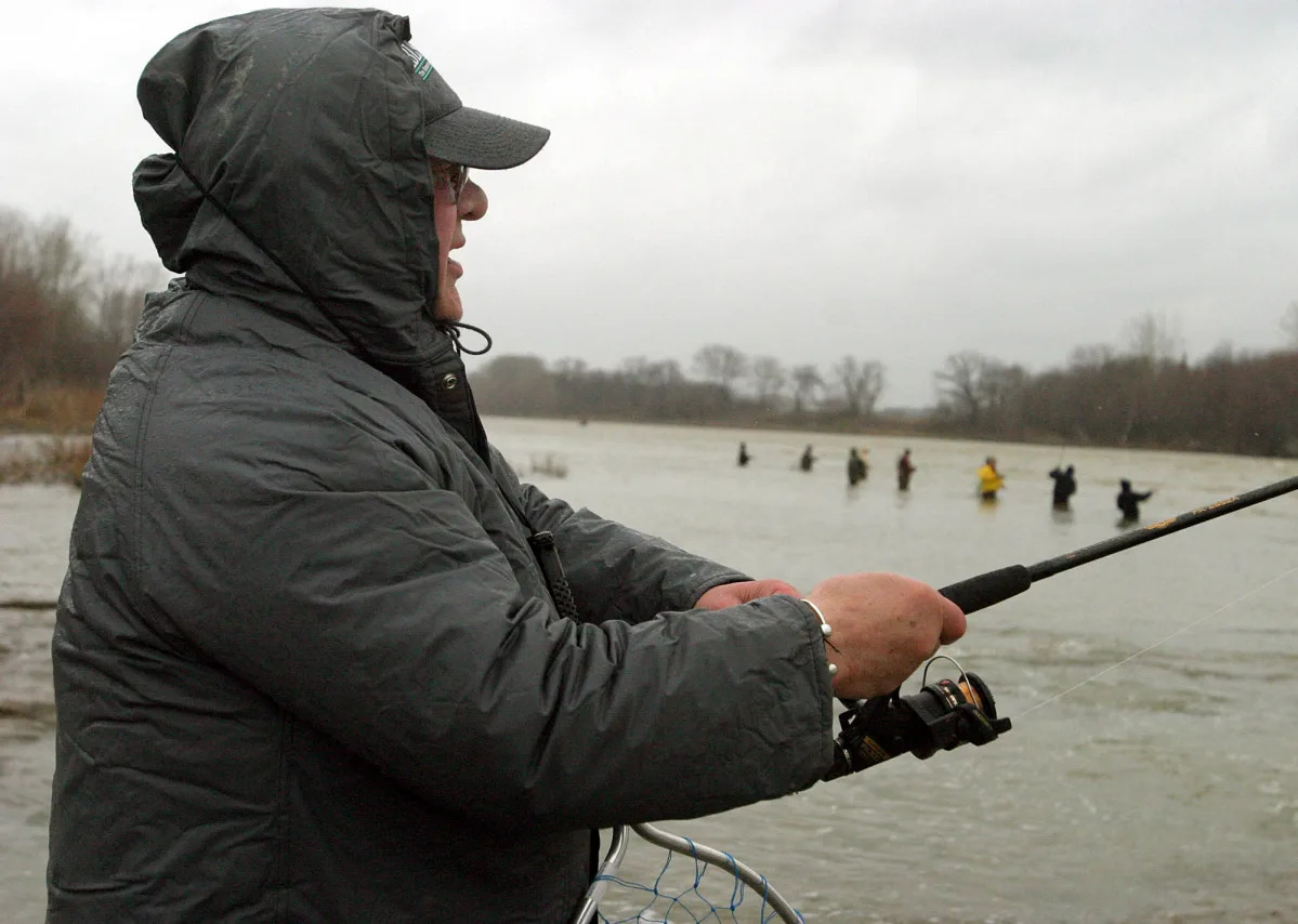 Maumee River walleye run draws a crowd, including the folks with badges