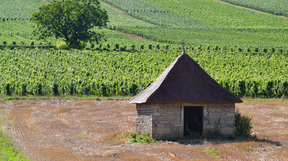 Grapes from charming Burgundy vineyards belong in boxes, too.