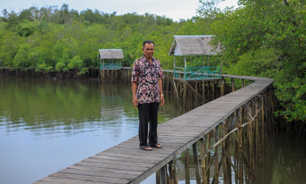 <span>Lamale has spent more than two decades restoring stretches of mangrove trees near his home in Mentawir.</span><span>Photograph: Fu'ad Muhammad/The Observer</span>