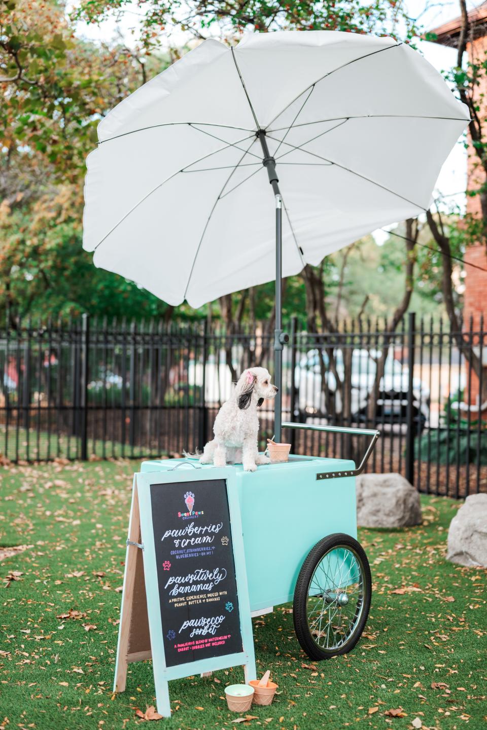 Promotional picture for Sweet Paws Creamery featuring a dog seated on an ice cream cart. The company will be launching pop-ups for their dog-friendly ice cream in Detroit April 20 and 21.