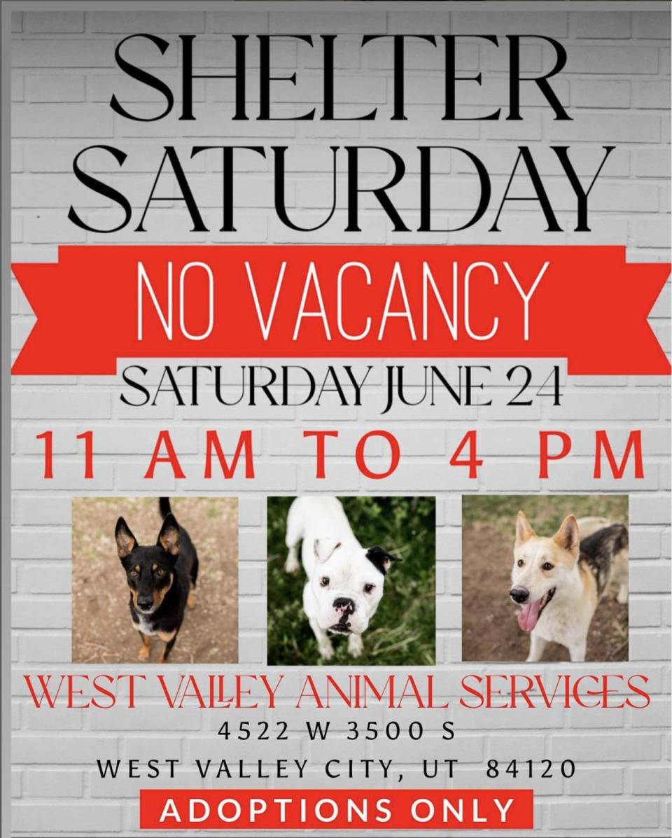 West Valley City Animal Shelter